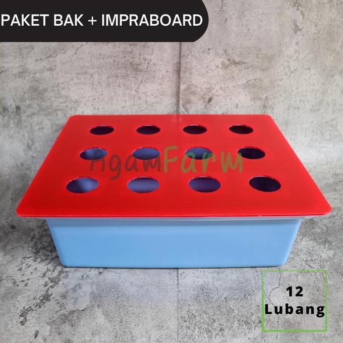 Bak Hidroponik Plus Tutup Impraboard 12 Lubang