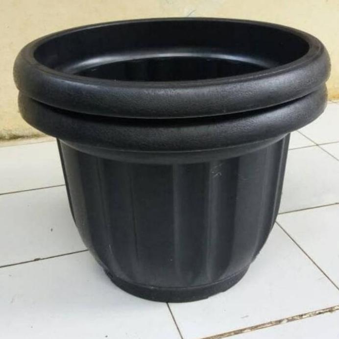 pot diameter 50 cm