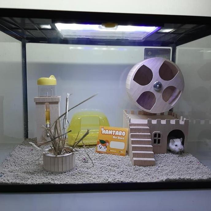 HAMTARO Terarium Kandang Hamster Rumah Kincir Kayu Ukuran Besar Aquarium Hamster Paket Lengkap denga