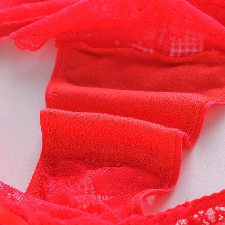 Garansi Online Fashion Celana Dalam Wanita Jumbo Dewasa Cd Sexy Renda Transparan Panties C276