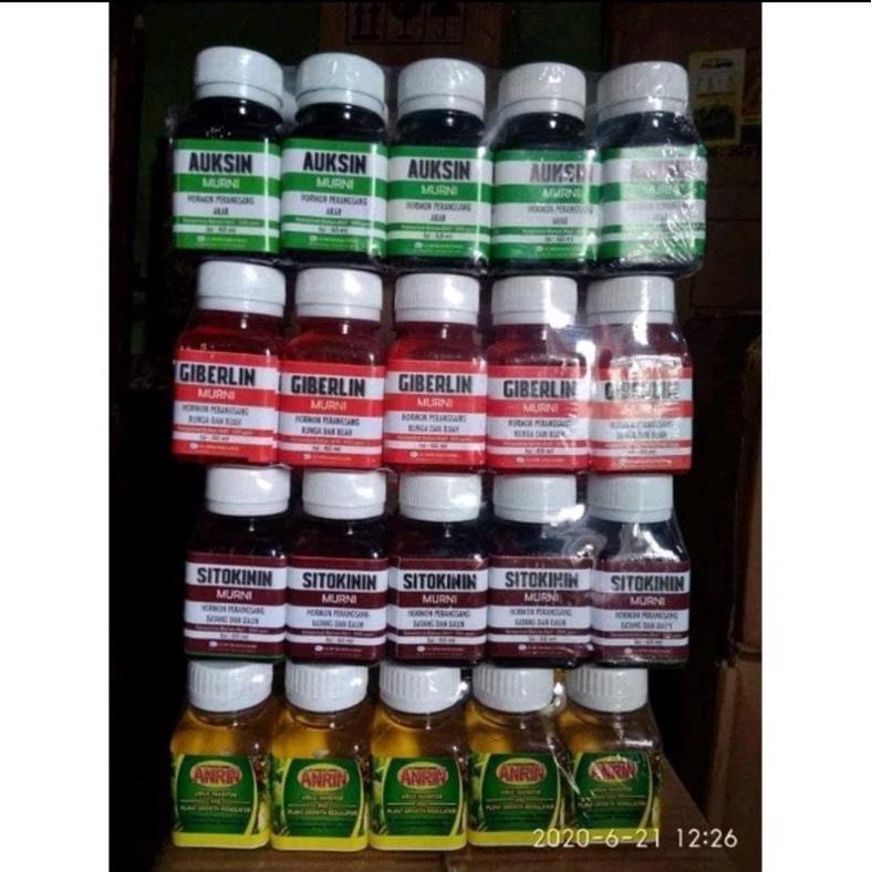 Promo Cod Auksin, Giberelin, Sitokinin, Anrin, Zat Pengatur Buah Dan Tanaman ><
