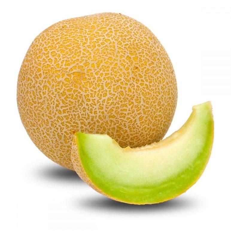Promo Cod 250 Biji > Benih Melon Manis|Melon Madu Unggul Pilihan ><