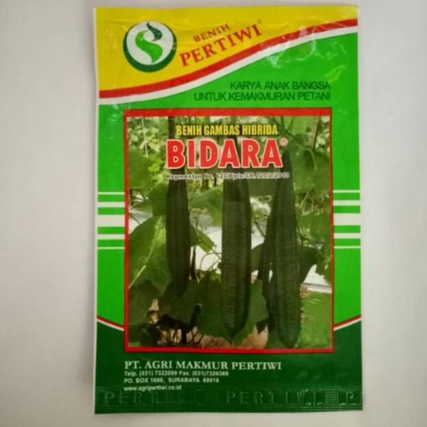 Promo Cod Benih Oyong Gambas Hibrida Bidara 10 Gr Benih Pertiwi ><