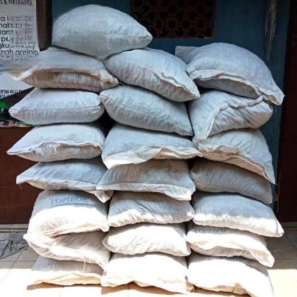 TERLARIS BATU APUNG KARUNGAN 20KG / MEDIA FILTER BATU APUNG / MEDIA KOLAM IKAN BATU APUNG KARUNGAN
