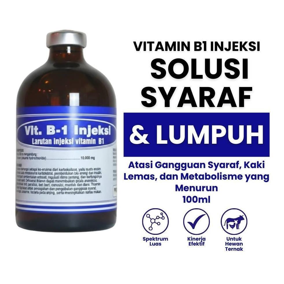 Ready Stock Vit B1 injeksi - Obat Lumpuh - B1 100ml- Obat Hewan - Vit B1 Injeksi