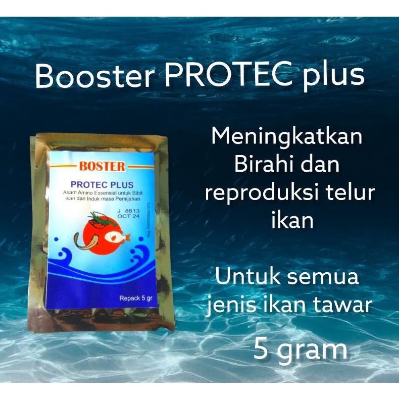 Ready Stock booster PROTEC plus vitamin birahi ikan dan telur