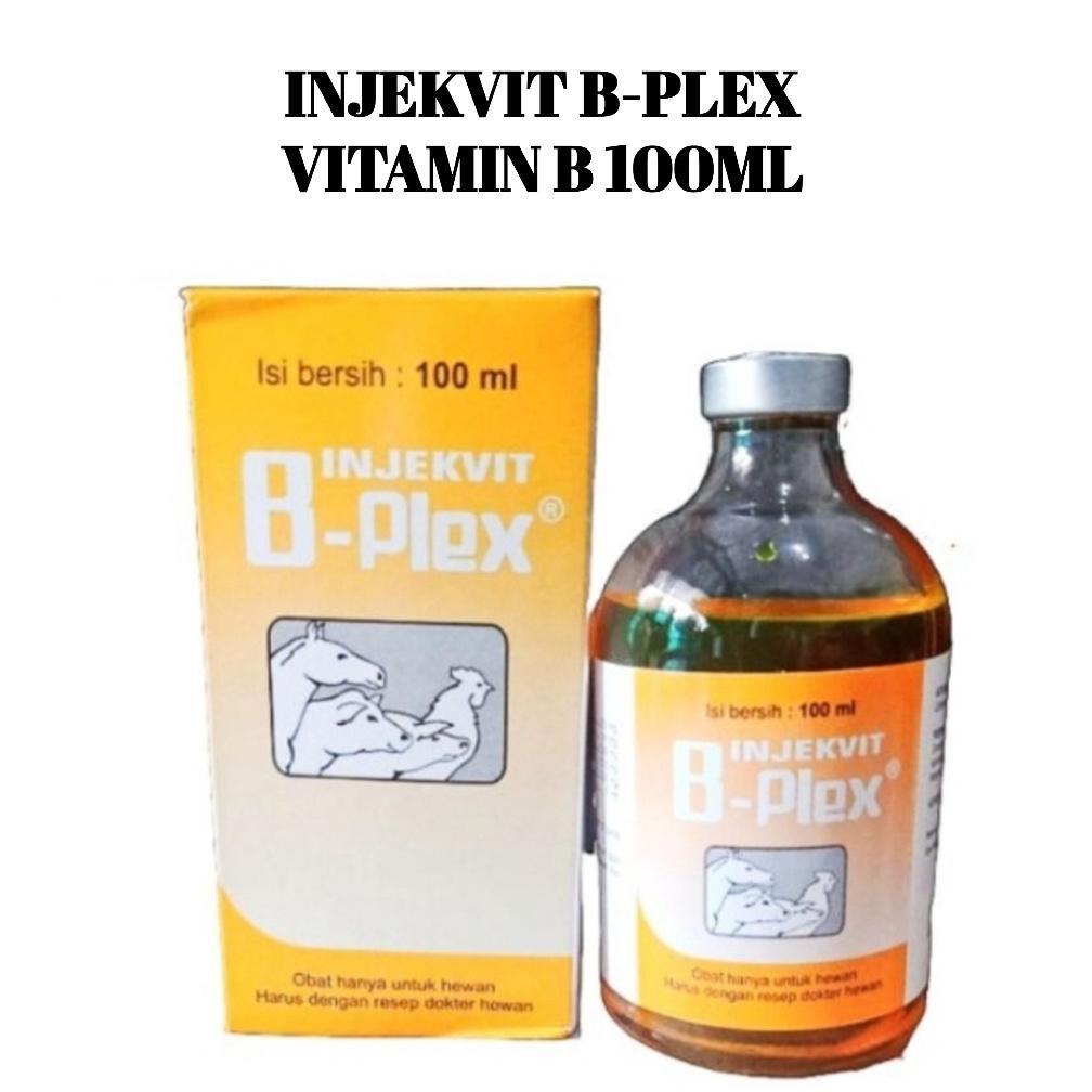 Ready Stock Injeksi Vitamin B Kompleks 100 ml Medion Ayam Kambing Sapi Obat Hewan