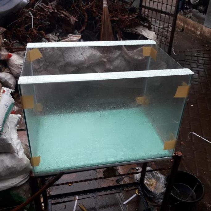TERLARIS AQUARIUM 60X30X40 KACA FULL 5