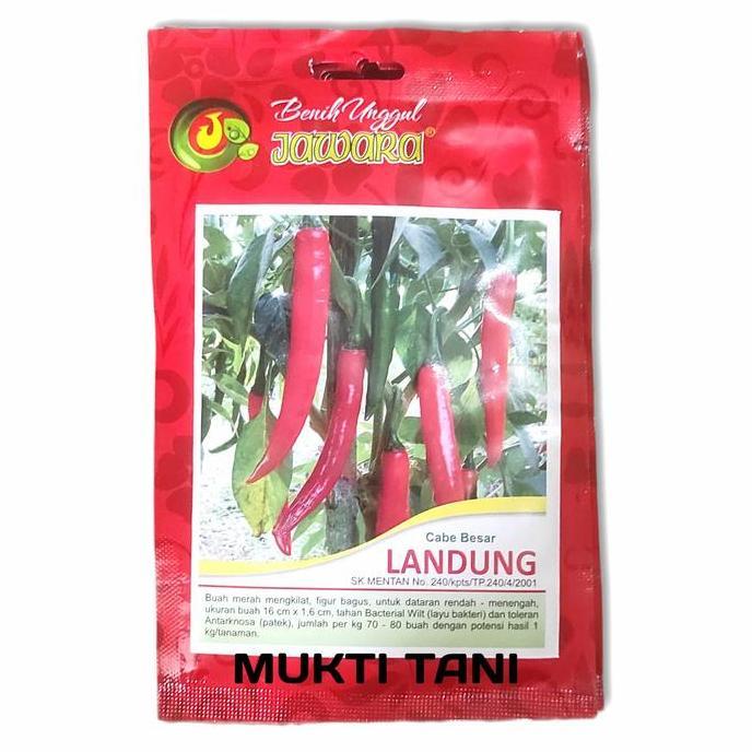 Benih Cabe Merah Besar Landung 10 gr Bibit Cabe
