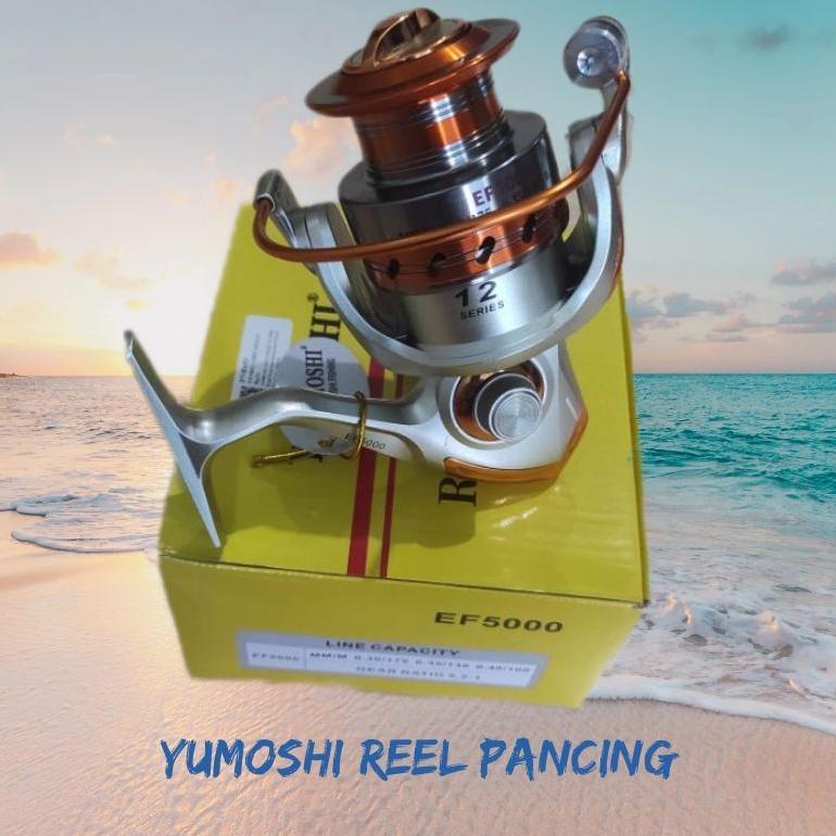 YUMOSHI REELSKING Reel Pancing Spinning 12 Ball Bearing