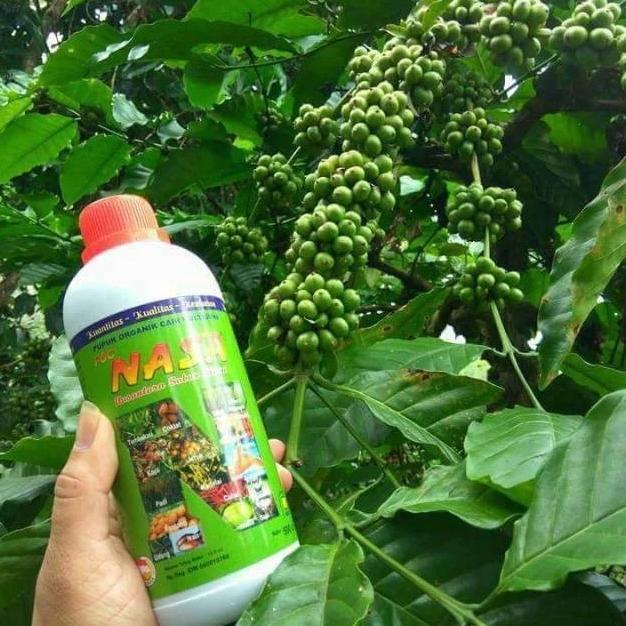 CELVIQUE PUPUK POC NASA 1LITER , PUPUK ORGANIK CAIR, PUPUK DAUN PUPUK SEGALA JENIS TANAMAN, PUPUK PE