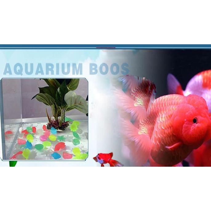 Parkz- Batu Hias Fosfor Gelap Nyala Glow In Dark Hiasan Tanaman Dan Aquarium