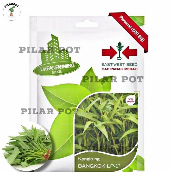Parkz- Benih Bibit Kangkung Bangkok Lp Cap Panah Merah - Kangkung Bangkok Lp