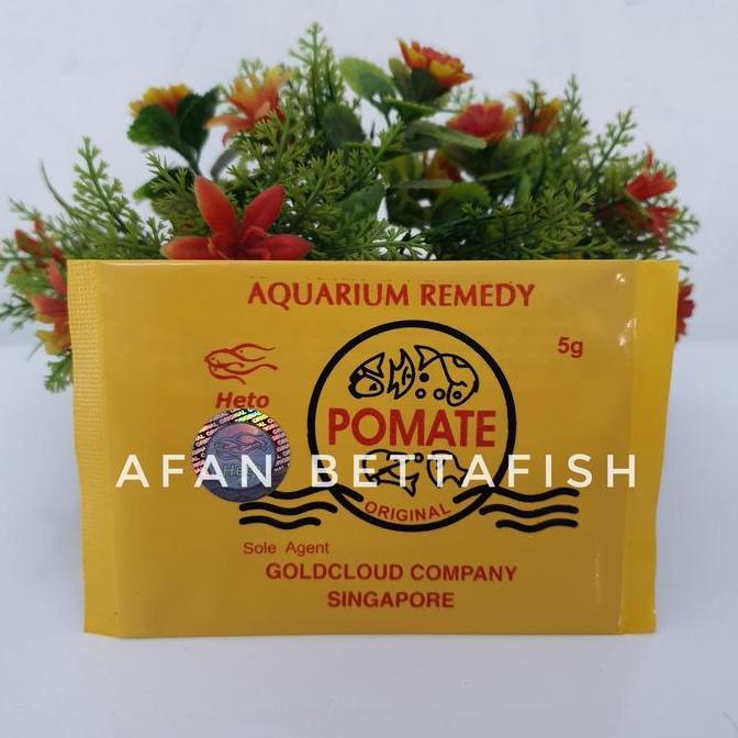 Hobiikan- Pomate Obat Ikan Hias Koi Arna Anti Jamur Gional
