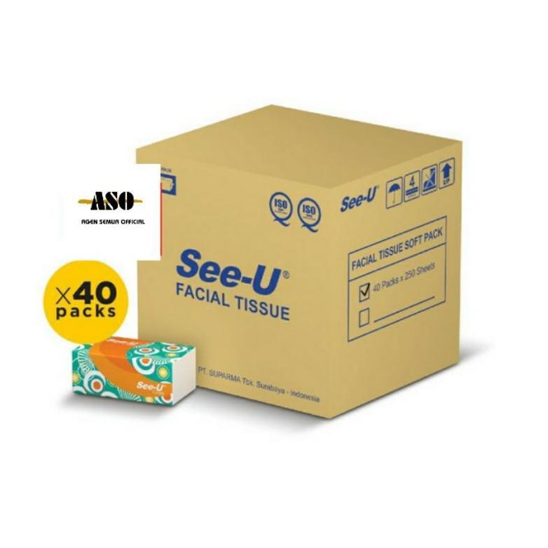 DUS TISU TISSUE SEE U 250 Sheet 1 DUS ( ISI 40)