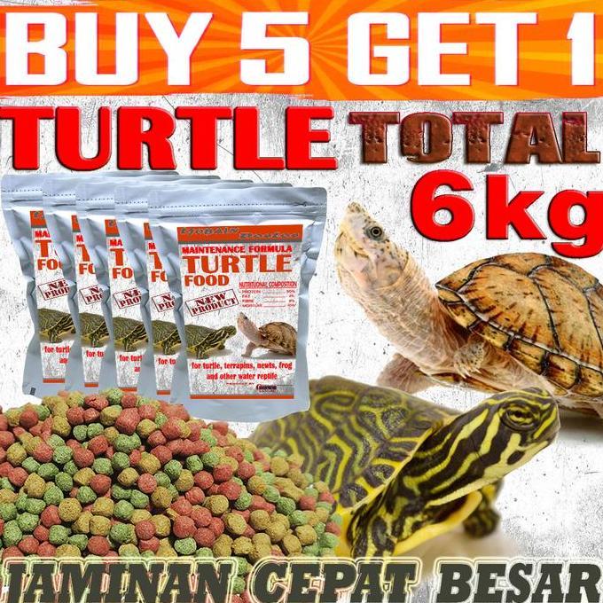 MAKANAN KURA-KURA AIR BRAZIL RES CST DAMER DADA MERAH KURA AMBON RAZOR PIPUT MONBI AST ALIGATOR PELE