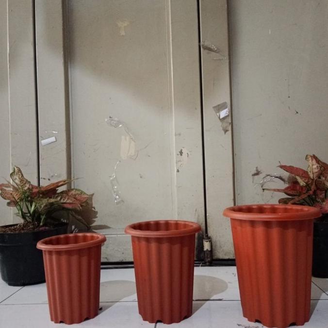 Promo Cod Pot Tinggi Model Yogap, Pot Swiss Warna, Pot Bunga Tinggi, Aglonema ><