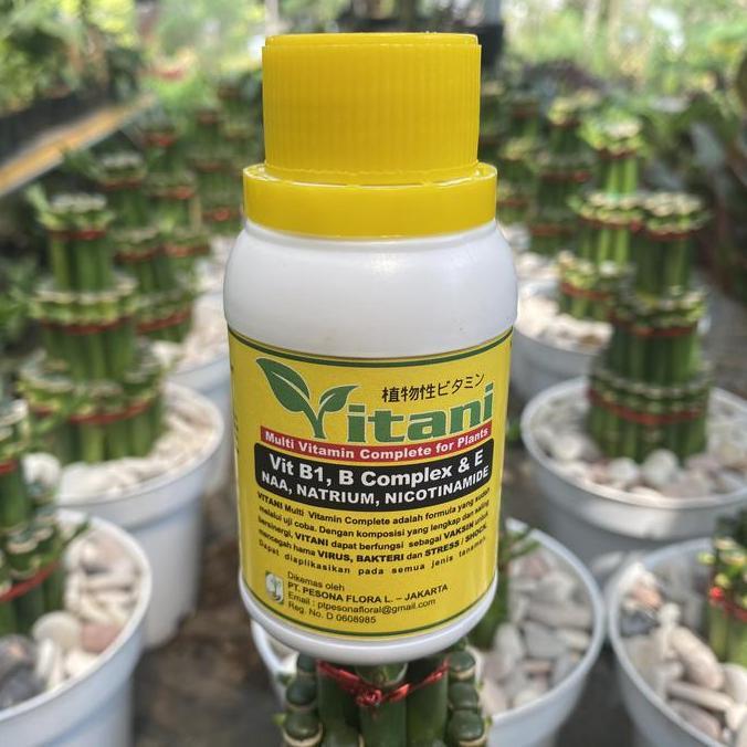 vitamin B1 untuk tanaman menjadi segar asli 100ml