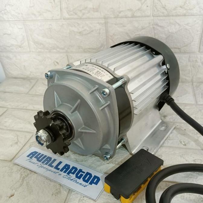 Bldc 48V-60V 1200W 1000W Becak Listrik Odong-Odong Motor Brushless Mobil Motor Listrik 3Phase Gearbo