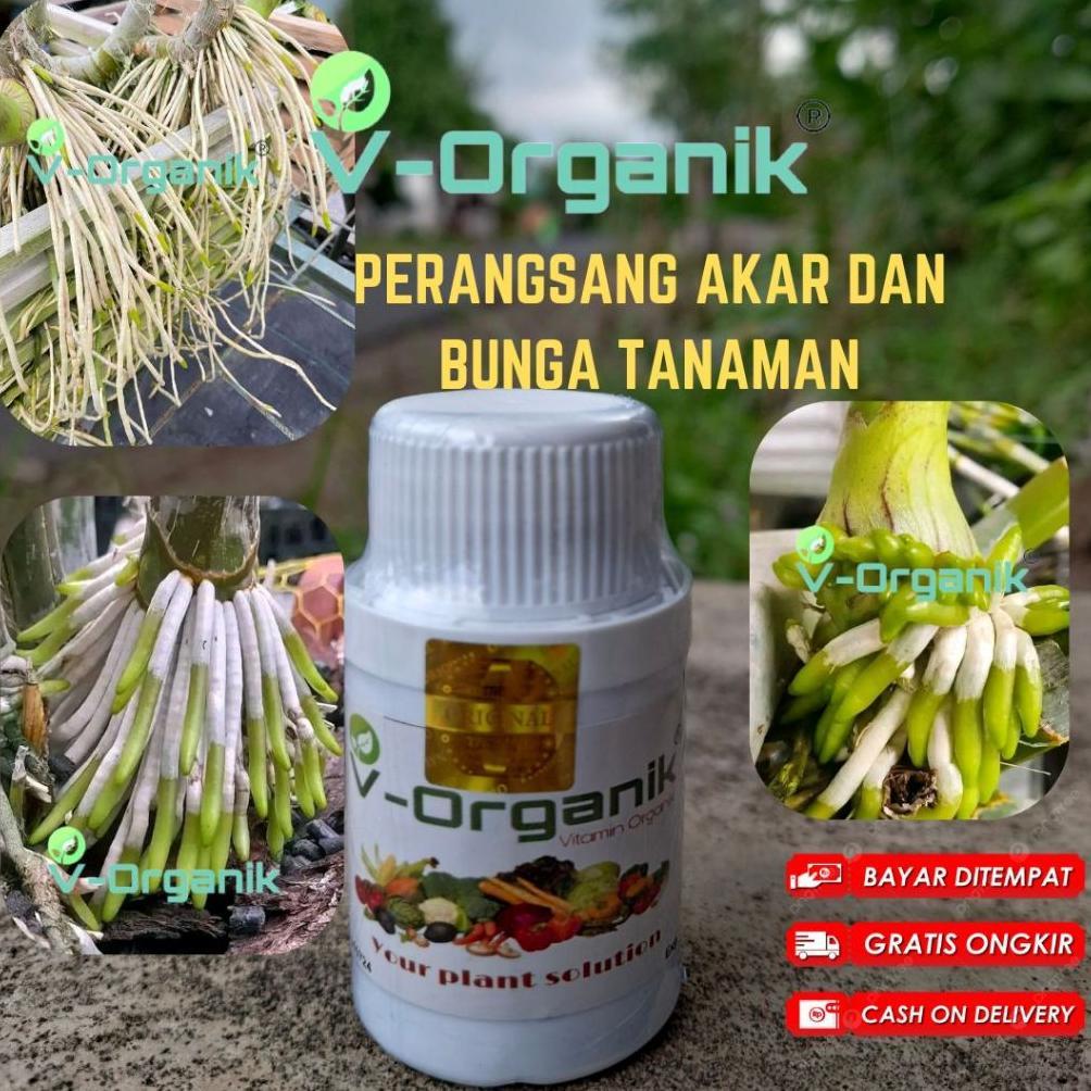 Promo Cod Pupuk Anggrek Pupuk Tanaman Hias Perangsang Akar Dan Bunga Tanaman Hias ><