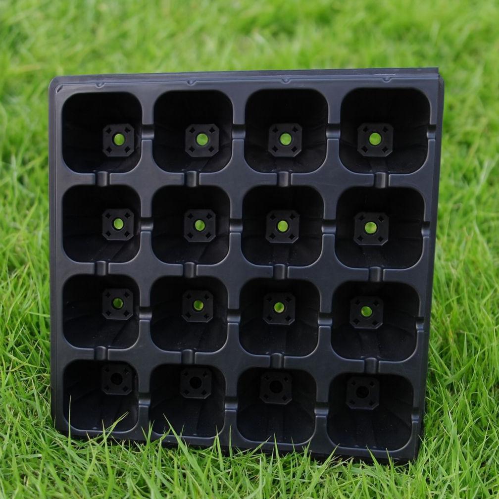 Promo Cod Tray Semai 16 Holes / Tray Tanaman / Tray Benih Bibit Tanaman ><