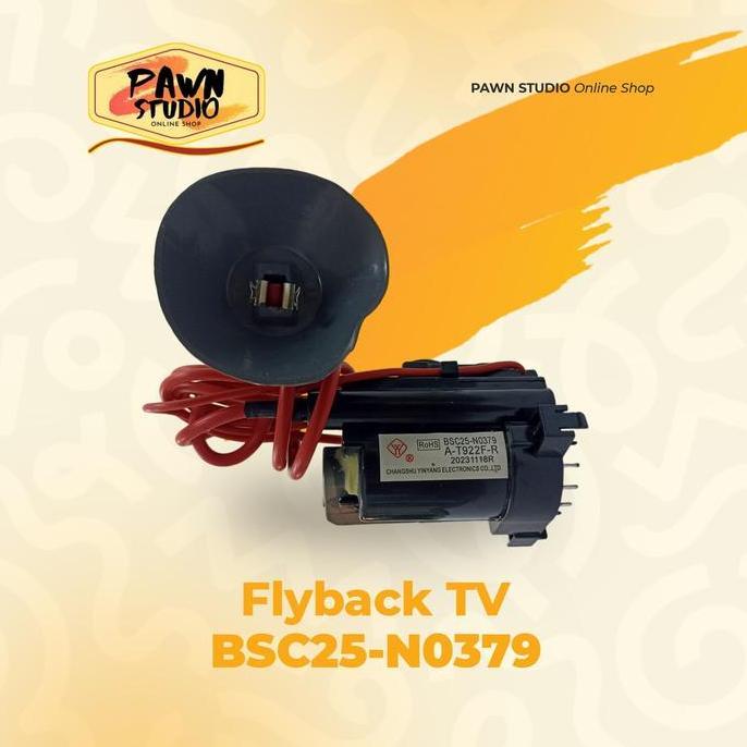 PLAYBACK / FLYBACK / FB TV BSC25-N0379 / BSC 25-N 0379/ BSC 25-N0379 / BSC25 N 0379 PROMO