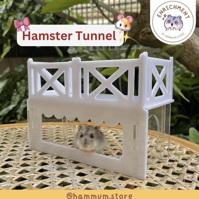 Terowongan Hamster Akrilik | Platform Hamster Akrilik | Rumah Hamster