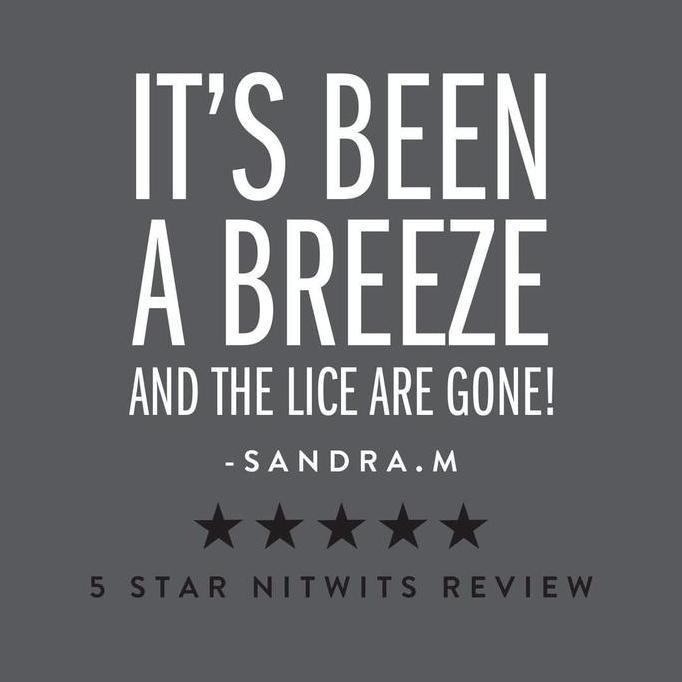 Nitwits All In One Head Lice Solution 120ml Original