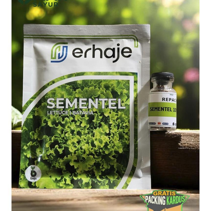 [Repack-100 Pills] Benih Selada Bejo Sementel Benih Lettuce Batavia By Bejo Seeds