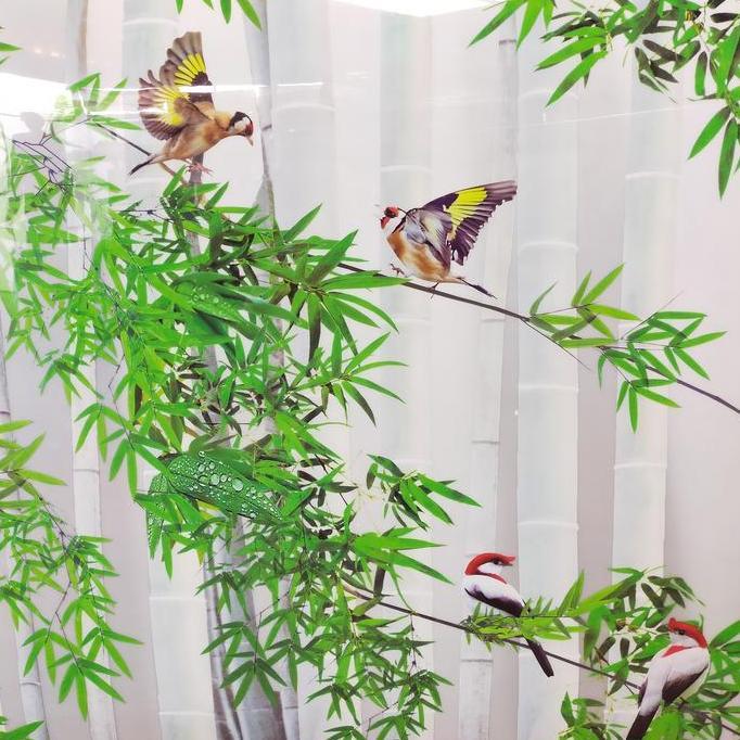 Huayuan- Fiber Pagar Plastik Penutup Pagar Motif Goldfinch Lebar 1 Meter Tebal 0.6 Mm Bahan Lentur F