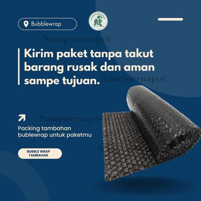 Huayuan- Benih Bibit Timun Lalap Vitani F1 Cap Panah Merah - Timun Vitani F1