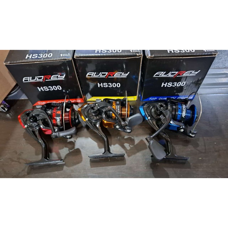 Reel Audrey Besi Hs 300