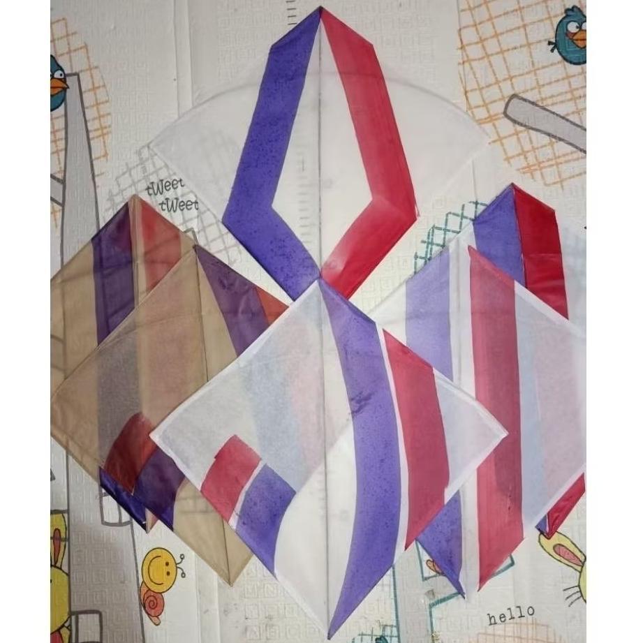 ARKATAMAMALL LAYANGAN JABRUG PULAS UK 54 100 PCS MOTIF WARNA RANDOM BERKUALITAS