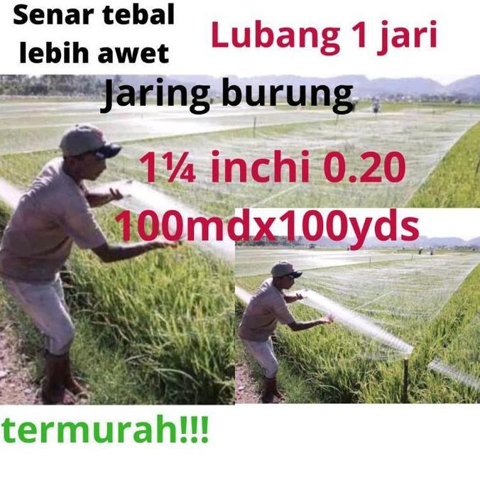 jaring burung sawah jaring pengaman padi jaring lubang 1 jari  jaring burung pipit jaring burung pip