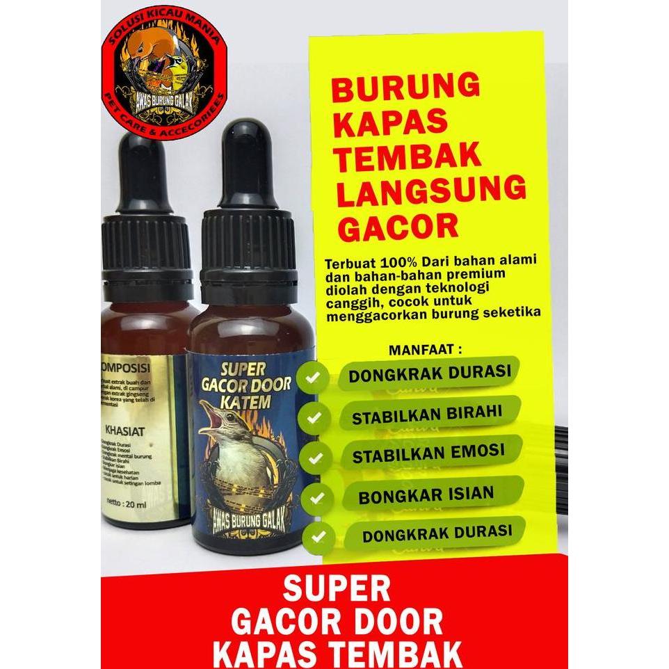 SUPER GACOR DOOR KAPAS TEMBAK KATEM PENGGACOR SEKETIKA