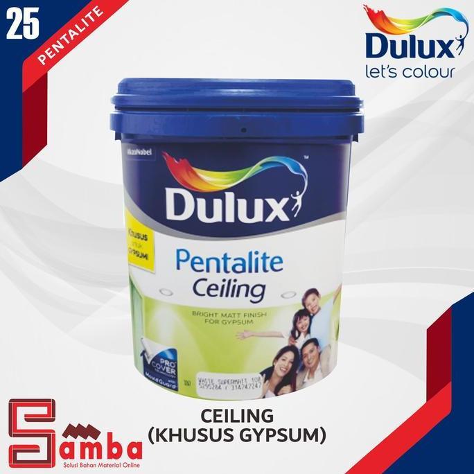 DULUX PENTALITE CEILING 25 KG / CAT PLAFON / CAT GYPSUM