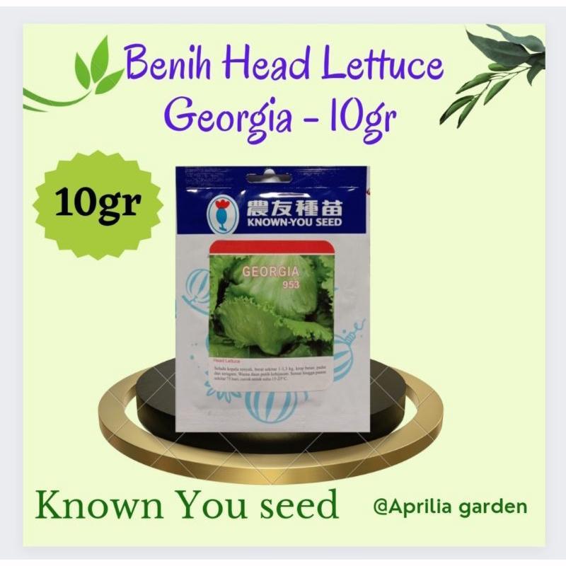 Benih Selada/Head Lettuce Georgia /General 10Gr Original Known You Seed