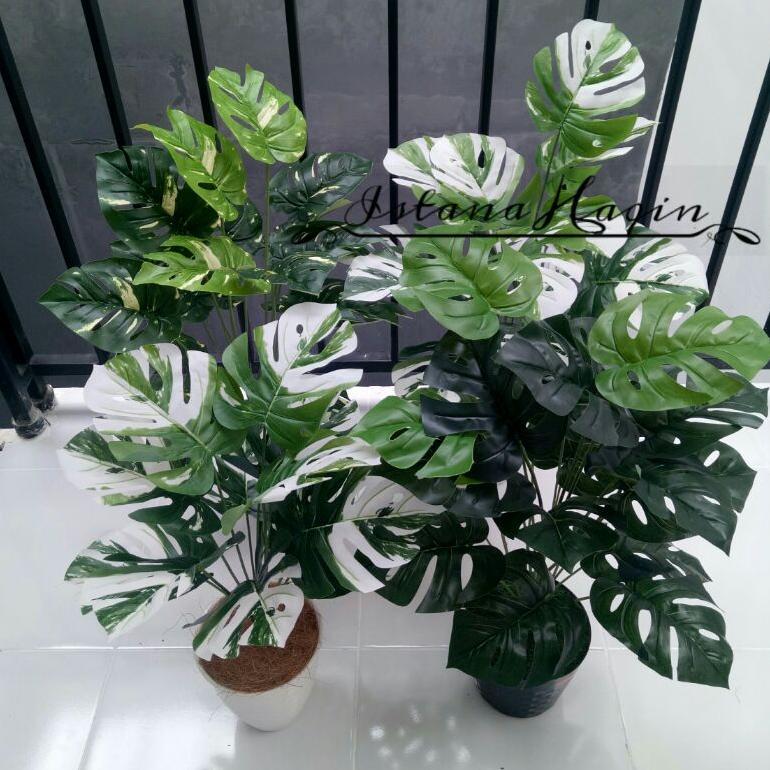 Monstera Artificial Monstera Hijau Monstera Varigata Plus Pot