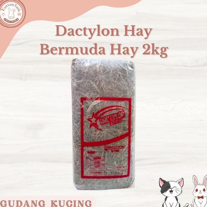 DACTYLON HAY / Rumput Kering Bermuda Pakan Kelinci & Cavy 2kg