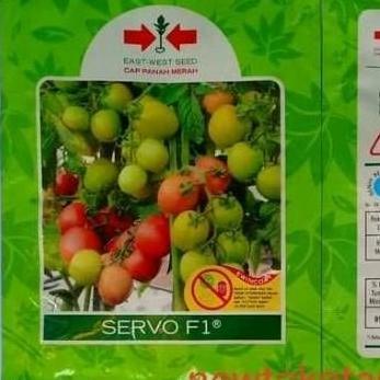 TERBARU - Benih tomat SERVO 1750 butir tomat hibrida dari panah merah