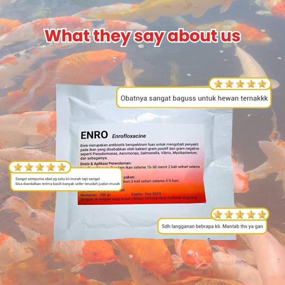 Selera Jualan - Enro 100 Gram Enro Obat Ikan 100 Gram Untuk Ikan Sakit Apapun Enro Oren Putih 100Gr