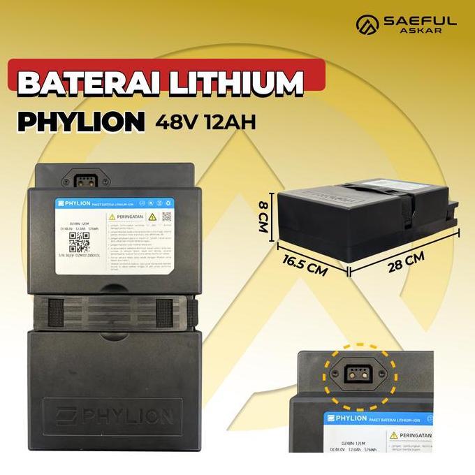 Phylion Baterai Lithium Sepeda Listrik 48V 12Ah Motor Listrik 48V 20Ah lithium Pabrikan Garansi 2 Ta