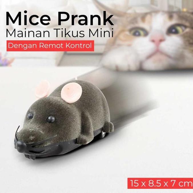 Mainan Tikus Mini Remote Control Mainan Kucing Bentuk Tikus