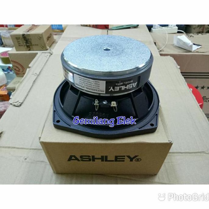 Speaker ASHLEY MD65/ MD 65 Original 6'5 Inch