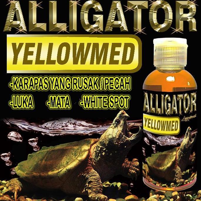 ALLIGATOR YELLOWMED OBAT JAMUR WHITE SPOT BINTIK PUTIH KURA-KURA AIR AST CST MENGOBATI LUKA LECET IN