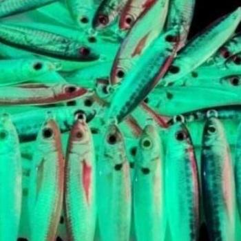 metal jig decal model green sarden full GID - 40 gram (TERBAIK) (TERBARU) (TERMURAH)