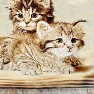 Hiasan Dinding Lukisan Kucing Dekorasi Dinding Ruang Tamu Cafe