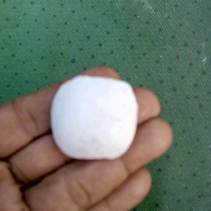 Obat penanggulangan Parasit,hama dan gulma untuk Tambak Habis Panen Aman & Efektif untuk Peternak Ik