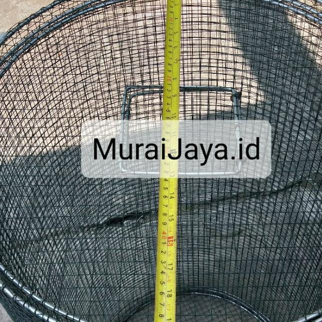 Kandang Umbaran Bulat 50Cm (Free Packing Kayu) Sledding Jungkat-Jungkit