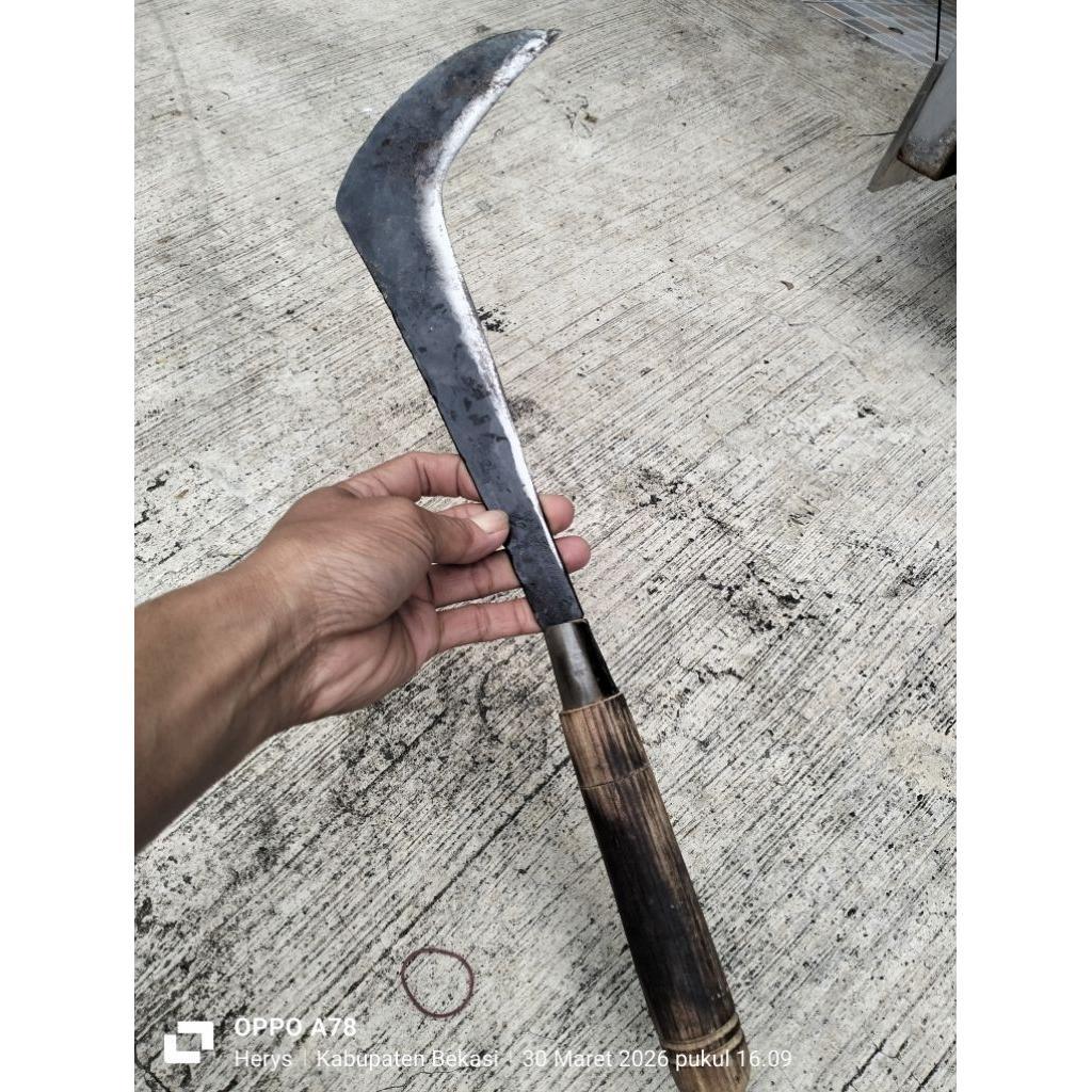Arit/Sabit/Bendo Panjang 29Cm Alat Potong Ranting